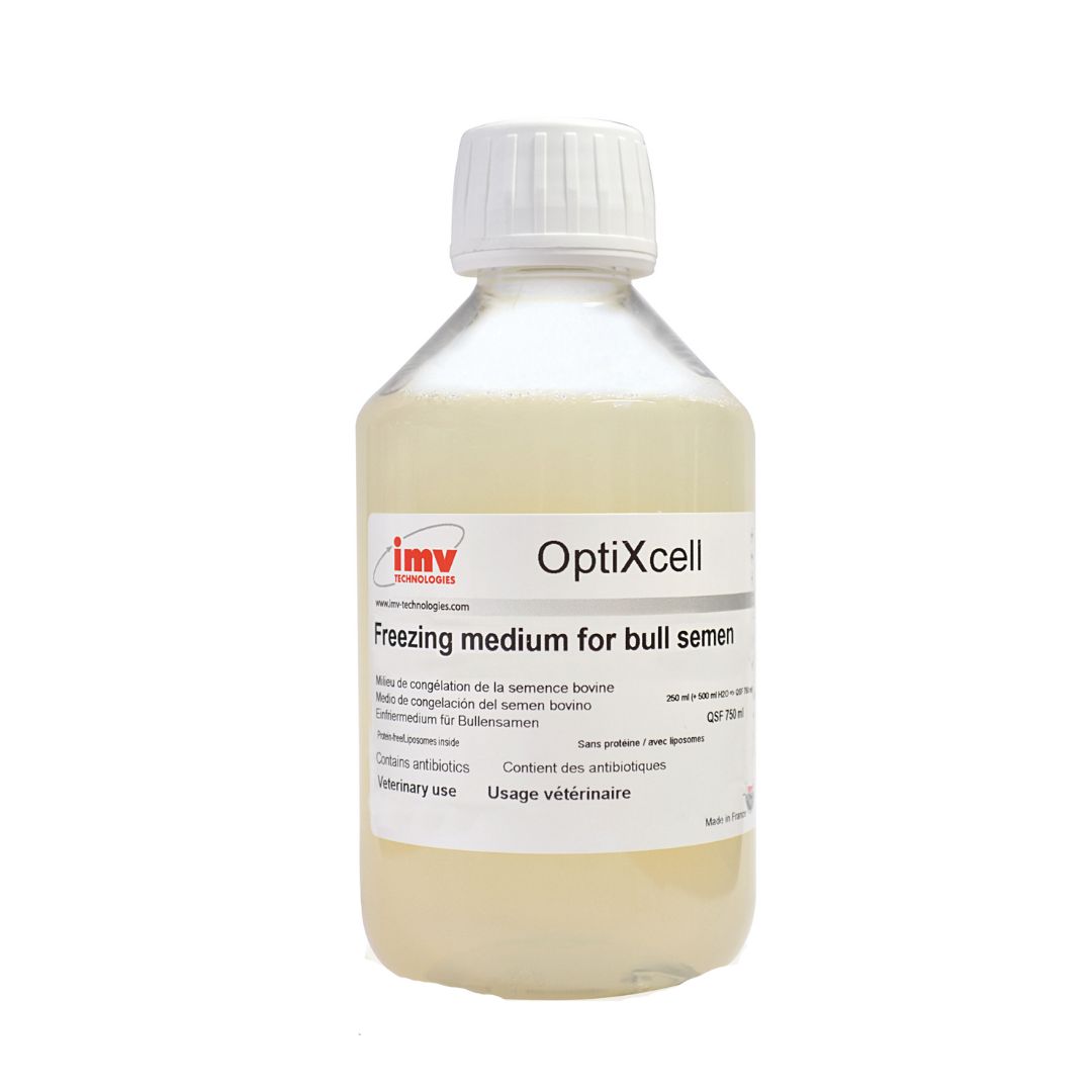 Design sans titre (21)